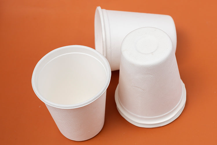 Say Goodbye to Plastic! Here’s Why You Should Choose Sugarcane Coffee Cups