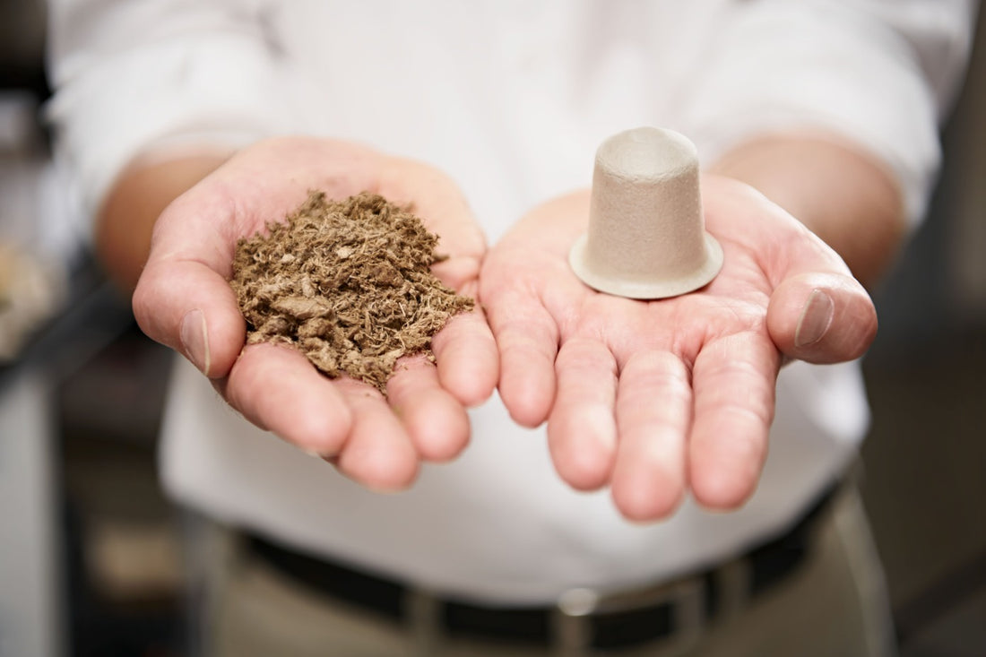 Compostable Coffee Capsules - All You Need to Know